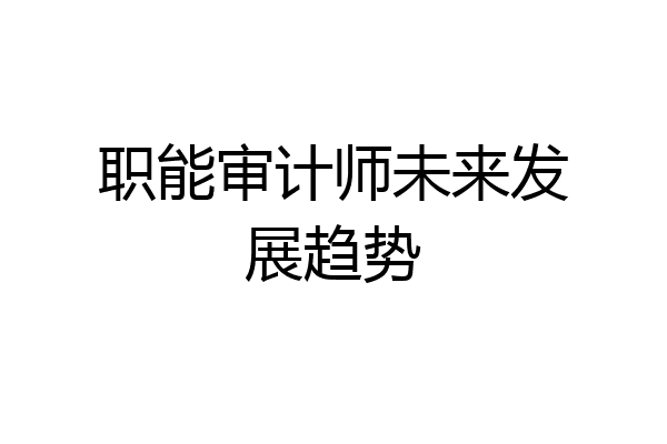 职能审计师未来发展趋势