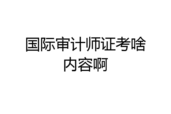 国际审计师证考啥内容啊