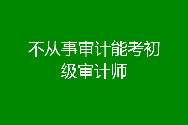 不从事审计能考初级审计师