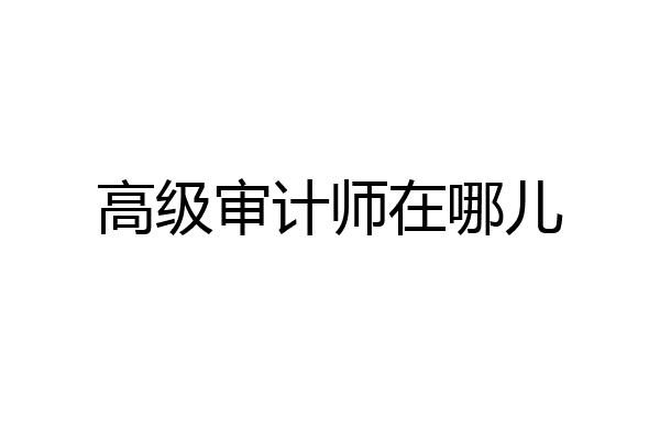 高级审计师在哪儿