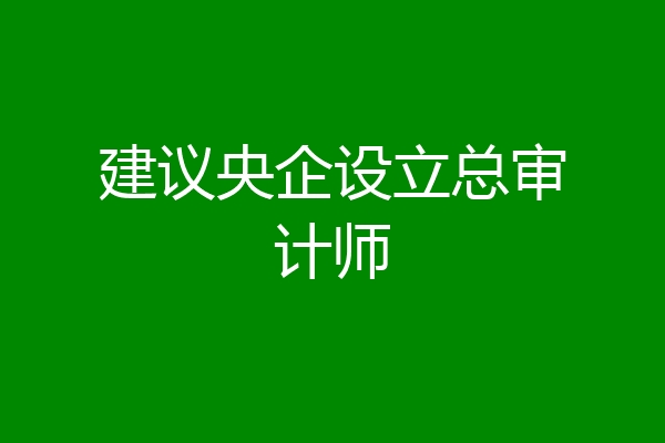 建议央企设立总审计师