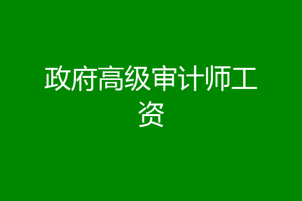 政府高级审计师工资