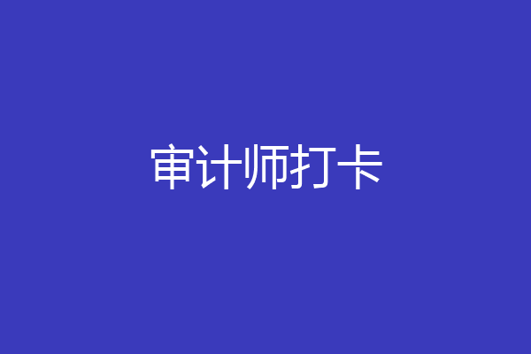 审计师打卡