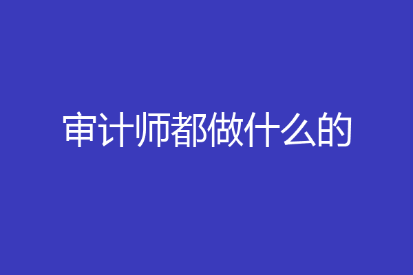 审计师都做什么的