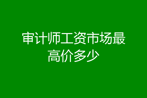 审计师工资市场最高价多少