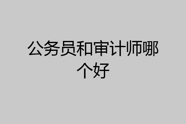 公务员和审计师哪个好