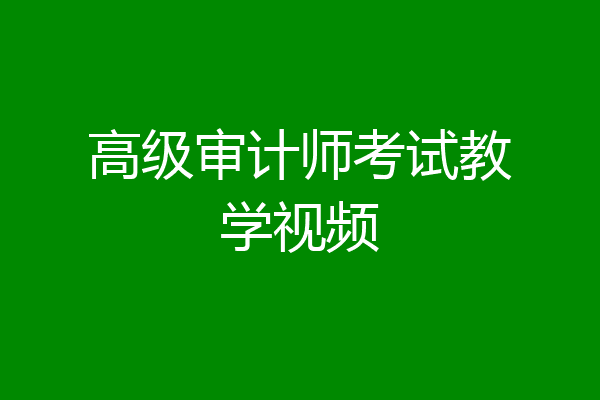 高级审计师考试教学视频