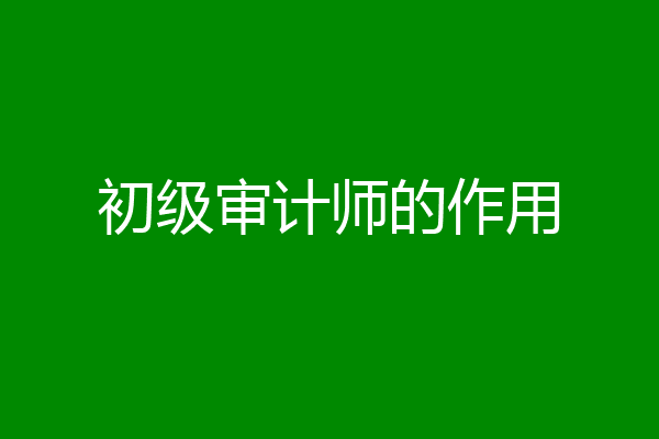 初级审计师的作用