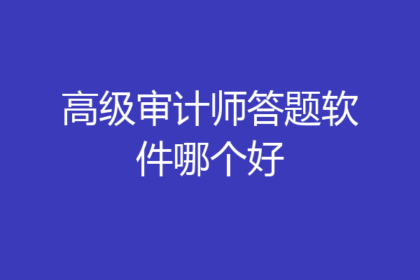 高级审计师答题软件哪个好