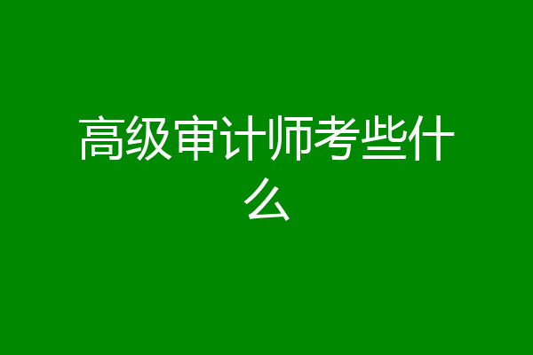 高级审计师考些什么
