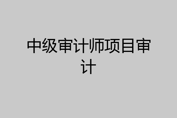 中级审计师项目审计
