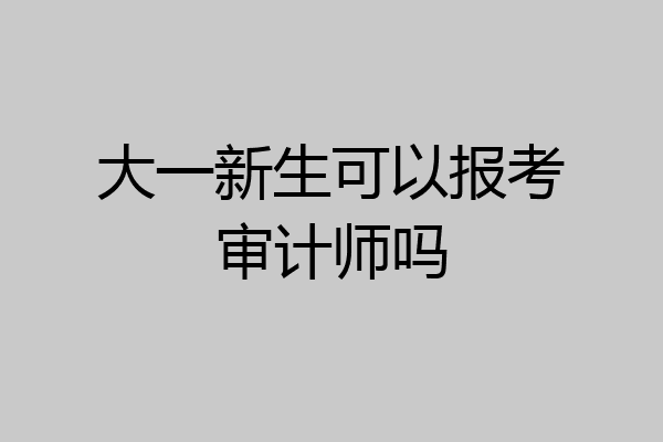 大一新生可以报考审计师吗