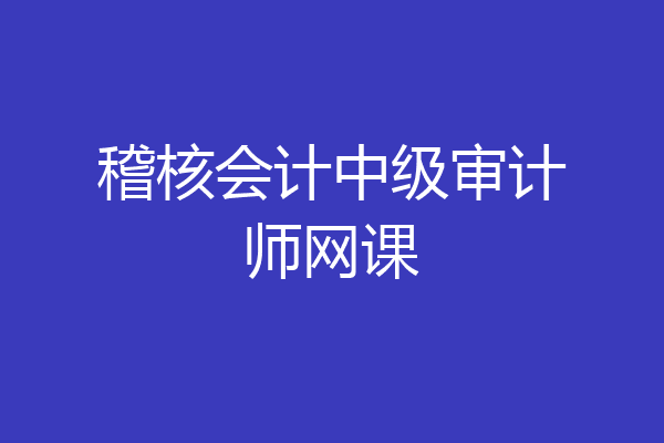 稽核会计中级审计师网课