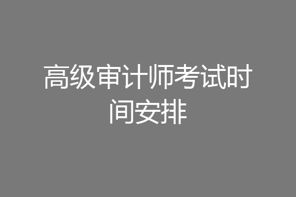 高级审计师考试时间安排
