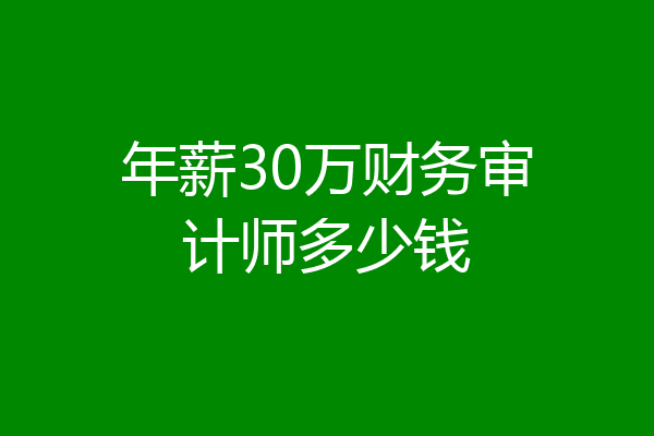 年薪30万财务审计师多少钱
