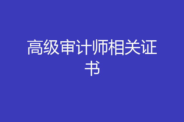 高级审计师相关证书