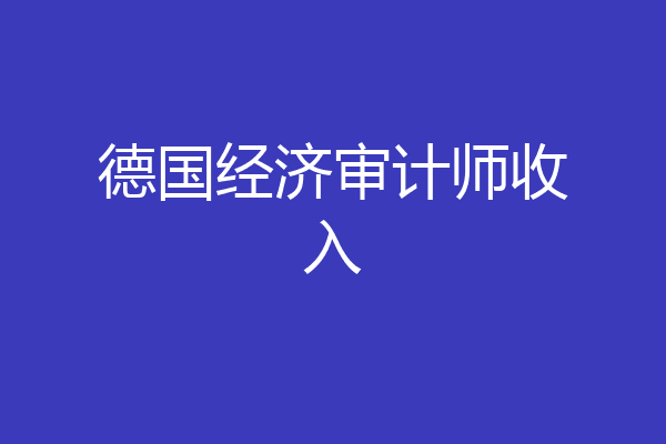 德国经济审计师收入