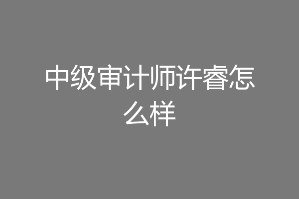 中级审计师许睿怎么样