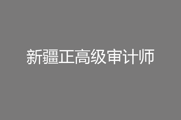 新疆正高级审计师