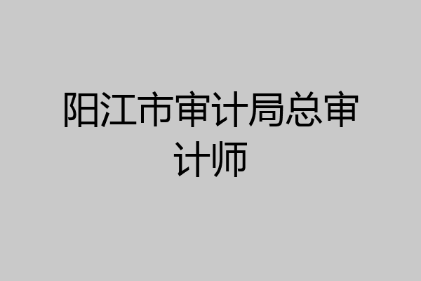 阳江市审计局总审计师