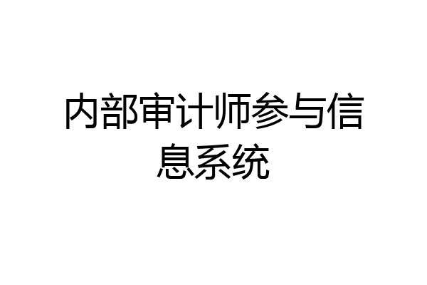 内部审计师参与信息系统