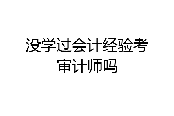 没学过会计经验考审计师吗