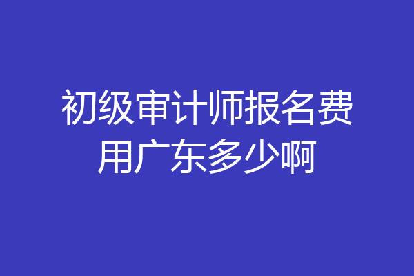 初级审计师报名费用广东多少啊