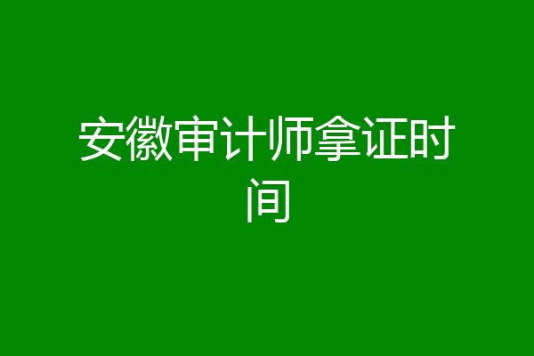 安徽审计师拿证时间