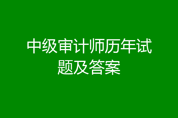 中级审计师历年试题及答案