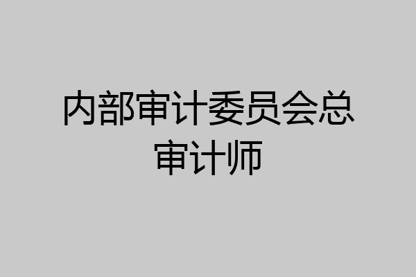 内部审计委员会总审计师