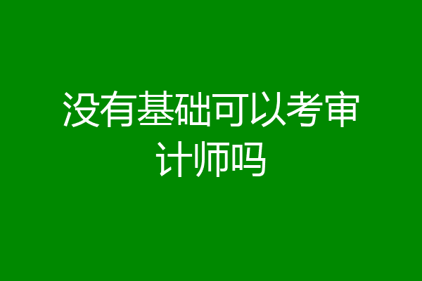 没有基础可以考审计师吗