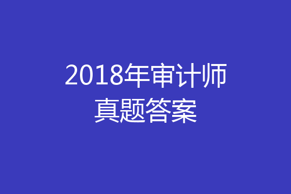 2018年审计师真题答案