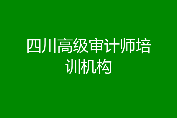 四川高级审计师培训机构