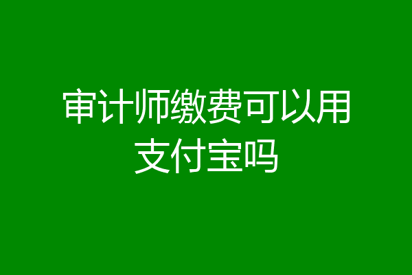 审计师缴费可以用支付宝吗