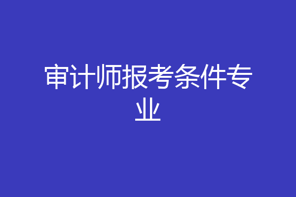 审计师报考条件专业