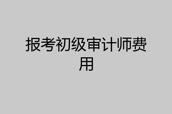 报考初级审计师费用