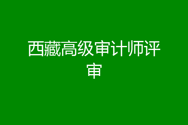 西藏高级审计师评审