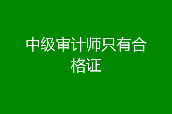 中级审计师只有合格证
