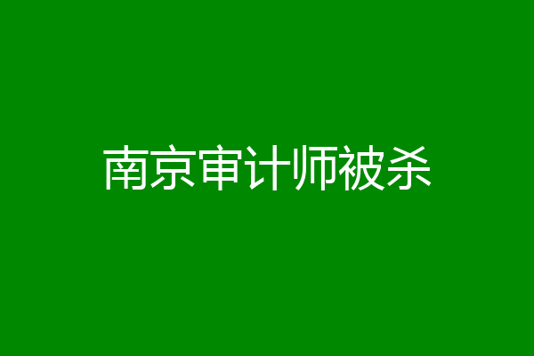 南京审计师被杀
