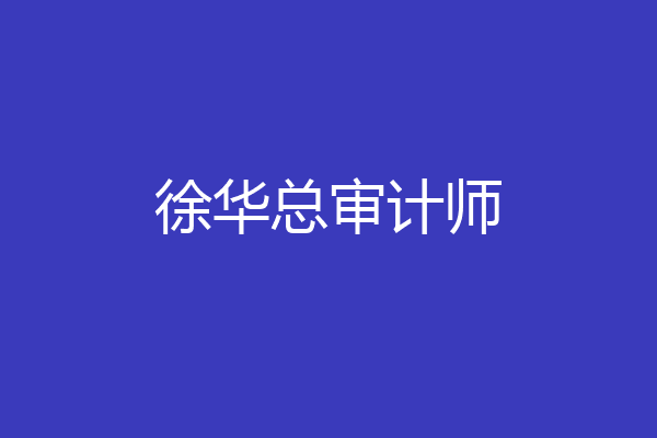 徐华总审计师