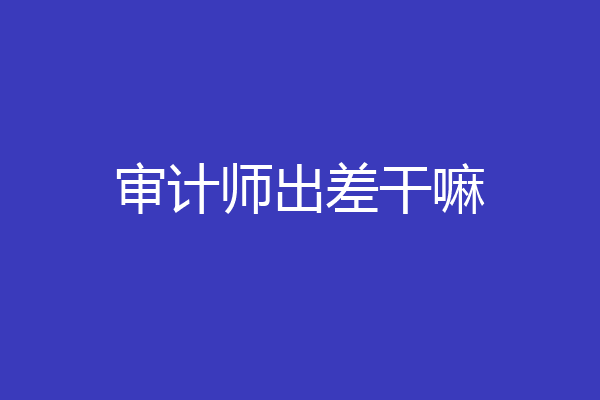 审计师出差干嘛