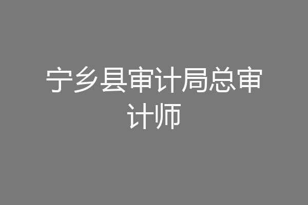 宁乡县审计局总审计师