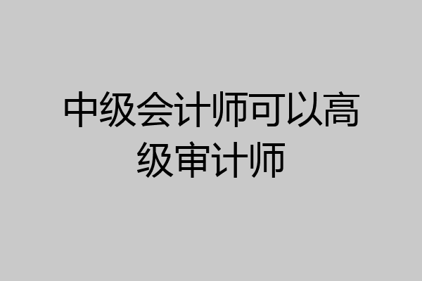 中级会计师可以高级审计师