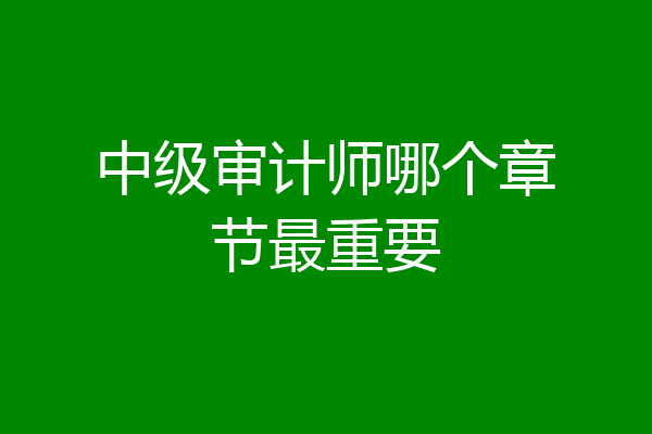 中级审计师哪个章节最重要