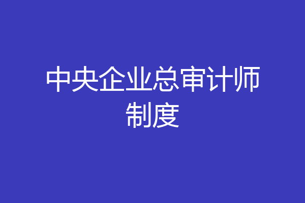 中央企业总审计师制度