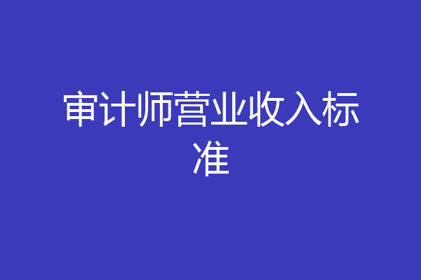 审计师营业收入标准