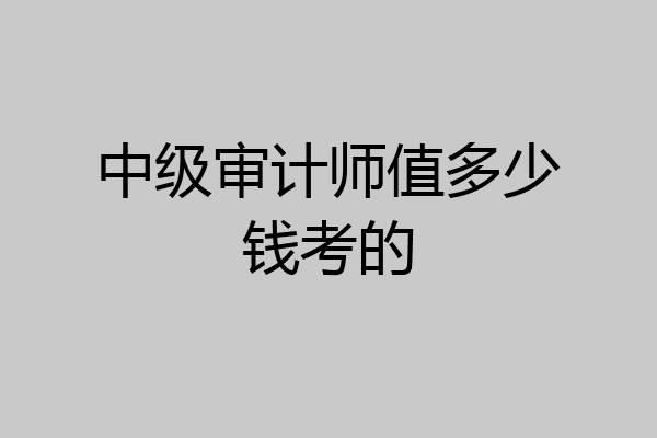 中级审计师值多少钱考的