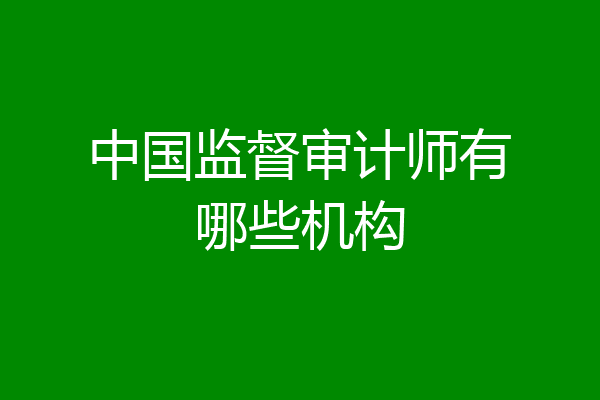 中国监督审计师有哪些机构