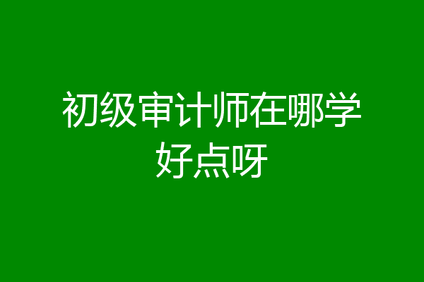 初级审计师在哪学好点呀