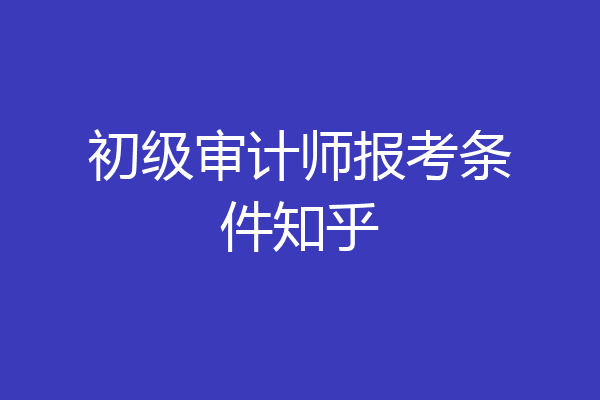 初级审计师报考条件知乎